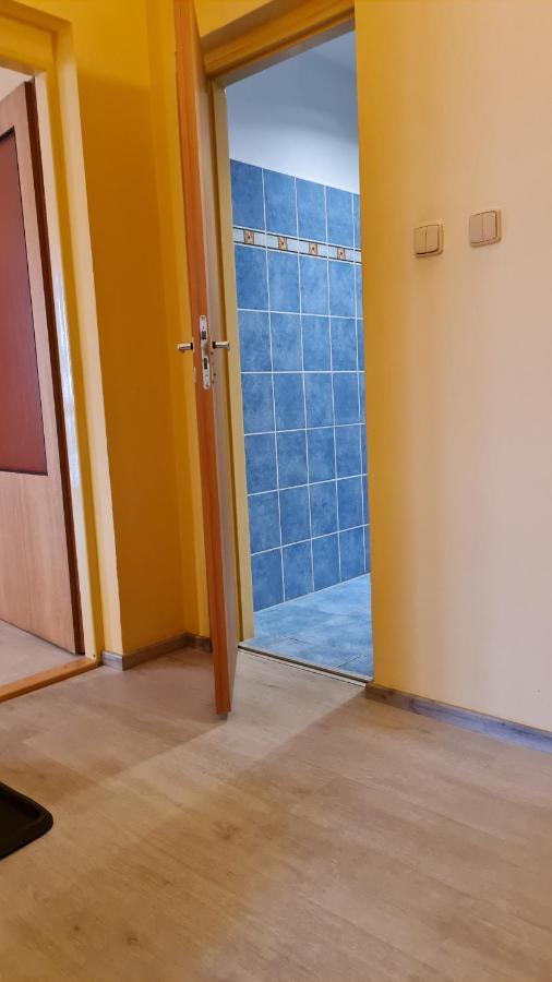 Pension Elektra Mariánské Lázně Esterno foto